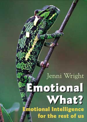 Emotional Intelligence For The Rest Of Us